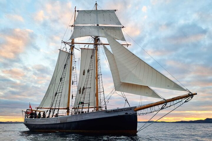 Tall Ship Sailing in the Bay of Islands